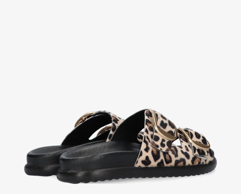LILIA BUCKLE LEO