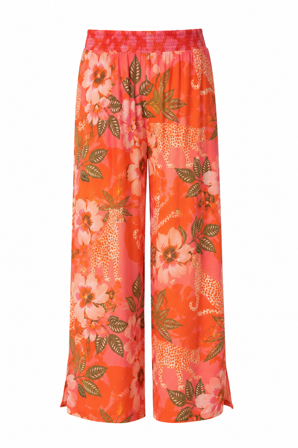 ARIA PANT