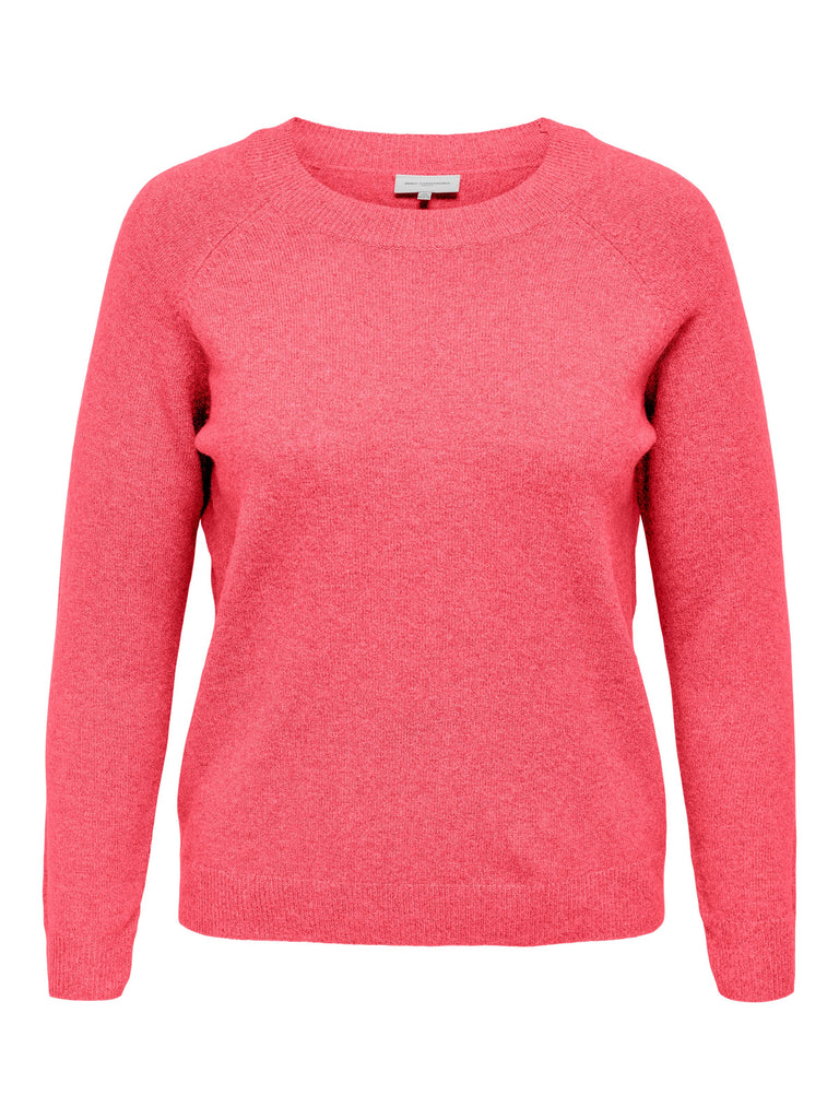 CARRICA PULLOVER NOOS (9939099615578)