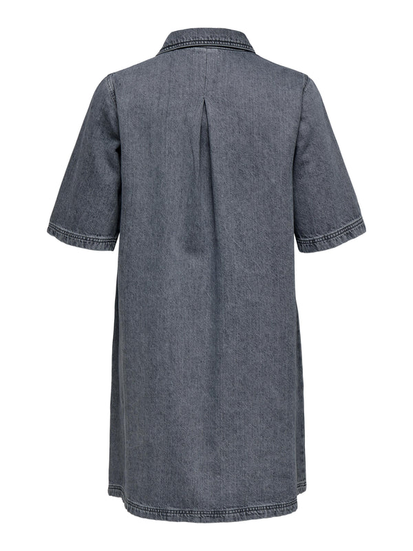 CARGRY KNEE DRESS GREY DNM
