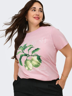 CARSHANIA SS T-SHIRT